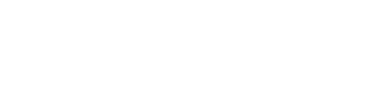 Logo Icono